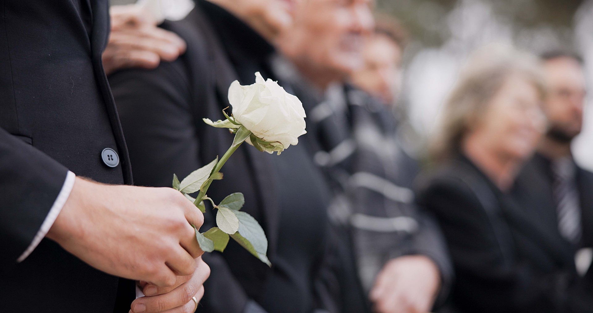 Hands, rose and a person at a funeral in a cemetery in grief while mourning loss at a memorial service. Death, flower and an adult in a suit at a graveyard in a crowd for an outdoor burial closeup